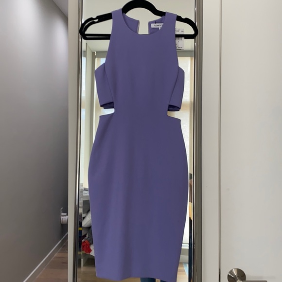 Elizabeth and James Dresses & Skirts - NWT Elizabeth and James lavender dress